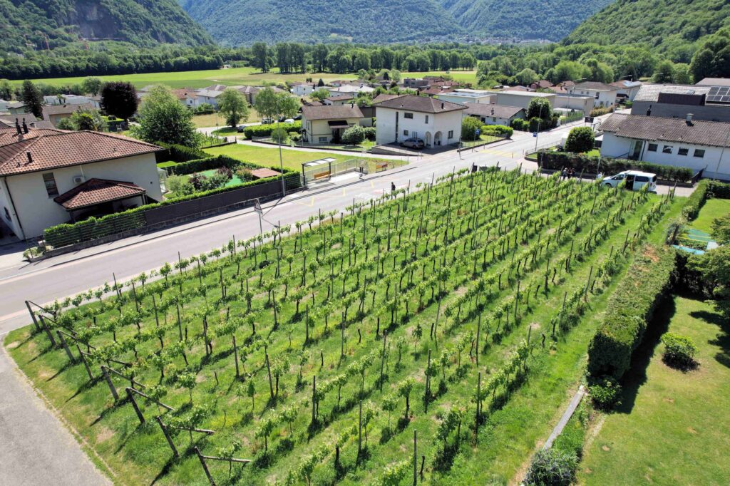 Terreno edificabile in zona comoda ben servita e soleggiata
