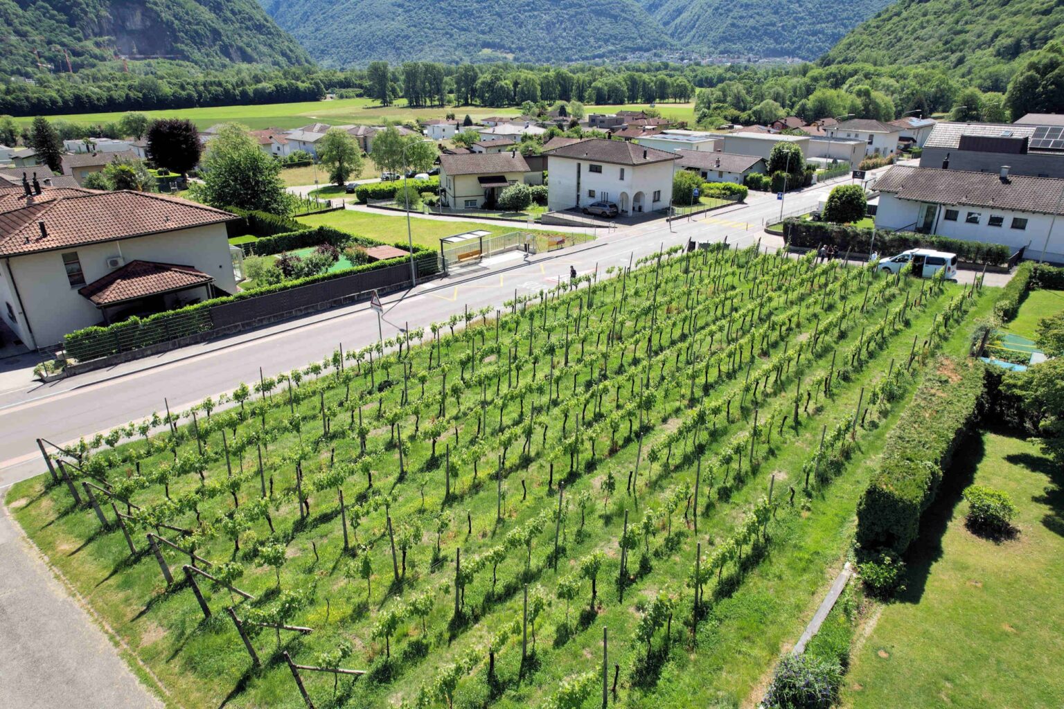 Terreno edificabile in zona comoda ben servita e soleggiata